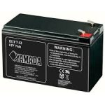 BATTERIA RIC.PIOMBO 12V  7   Ah